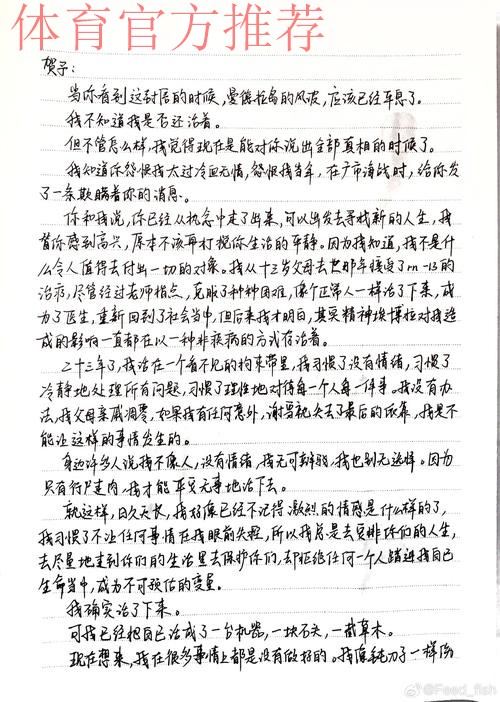 红蓝三十载 后记 个人感想